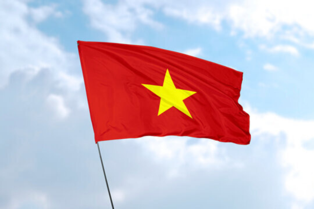 trademark search in Vietnam, Vietnam trademark search, conduct trademark search in Vietnam, conduct Vietnam trademark search, search trademark in Vietnam