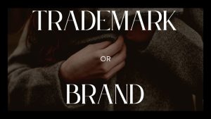 procedure of trademark application in Germany, trademark application in Germany, Germany trademark application, file trademark application in Germany, application of trademark in Germany